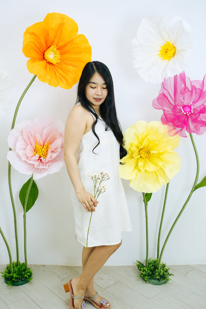 Chalk Eyelet